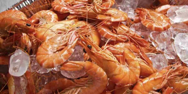 Sono un ingrediente prezioso sia nelle ricette tradizionali che nelle preparazioni più innovative. Per ottenere il massimo da questo prodotto,