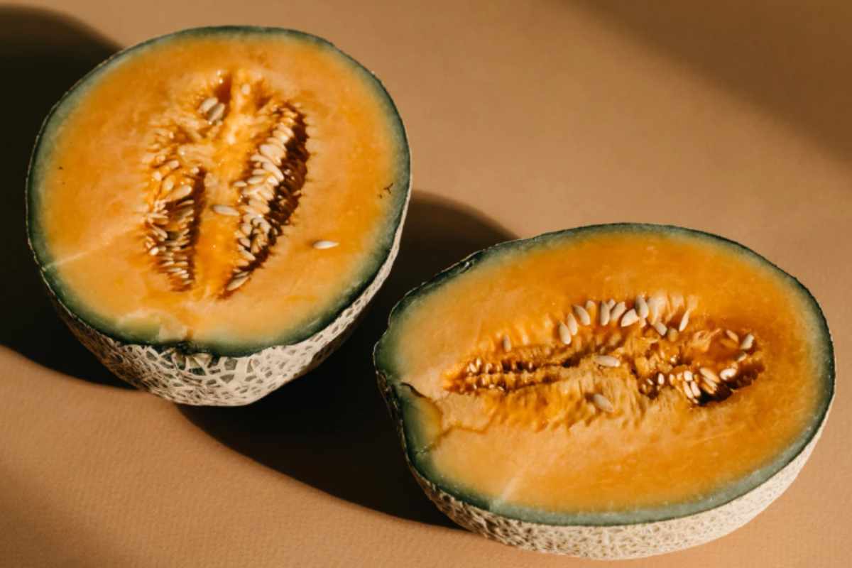 Melone