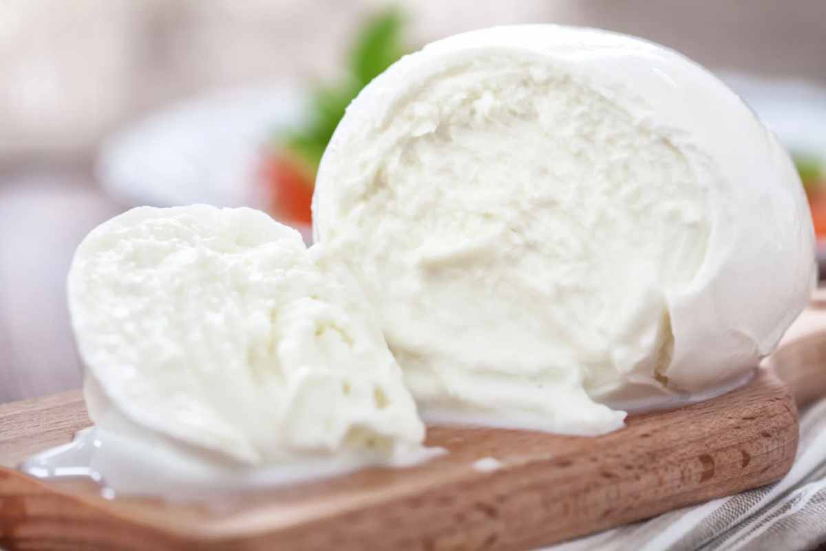 Mozzarella