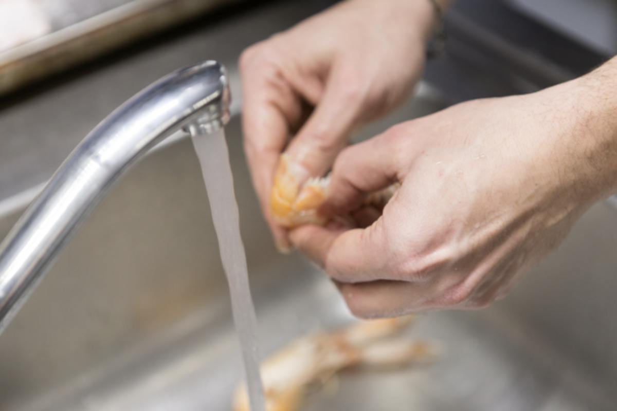 I gamberi sono estremamente versatili in cucina, adatti a un’ampia gamma di ricette che spaziano dagli antipasti ai secondi piatti, passando per zuppe e fritture.