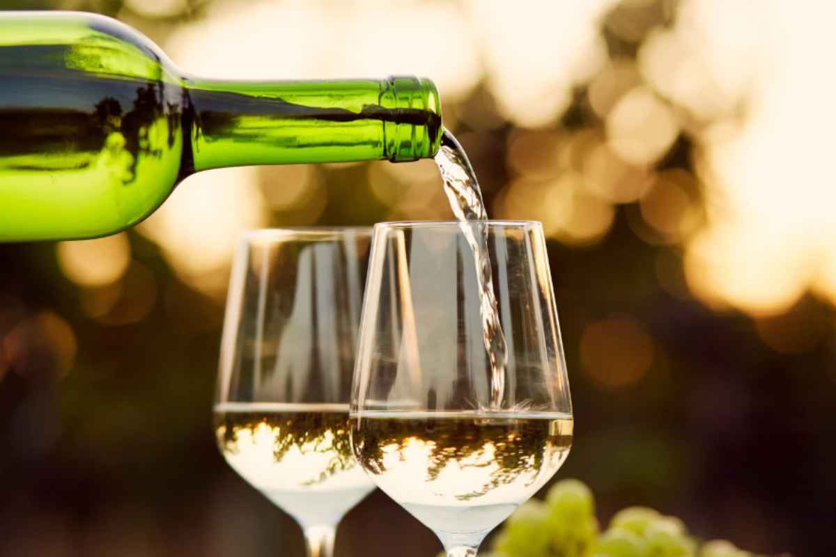 Vino