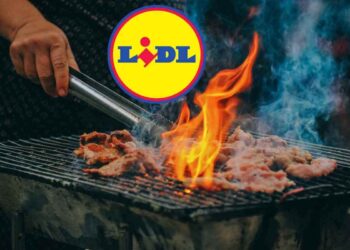 Il gusto di una grigliata in 5 minuti senza fumo e cattivi odori