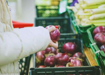 etichette delle cipolle