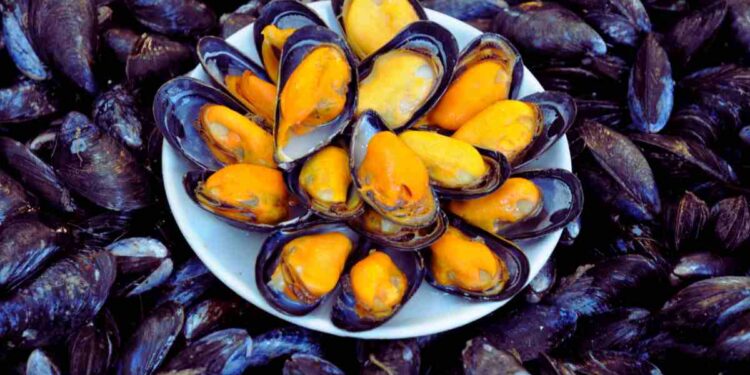Sai perché le cozze sono bianche o arancioni