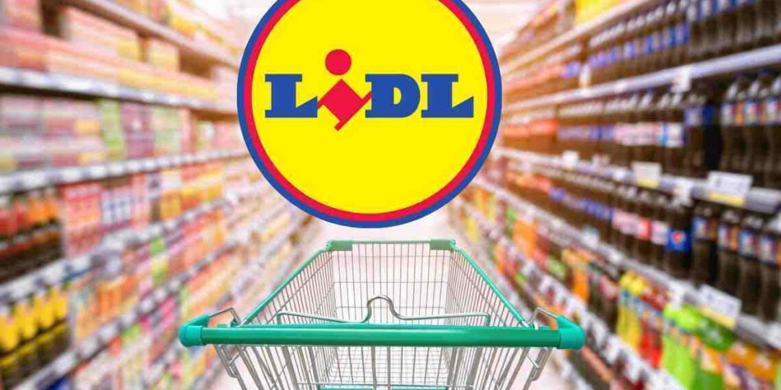da Lidl l'elettrodomestico indispensabile a meno di 30 euro