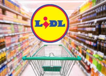 da Lidl l'elettrodomestico indispensabile a meno di 30 euro