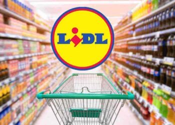 Lidl, questi prodotti sono la copia esatta delle grandi marche ma costano meno della metà