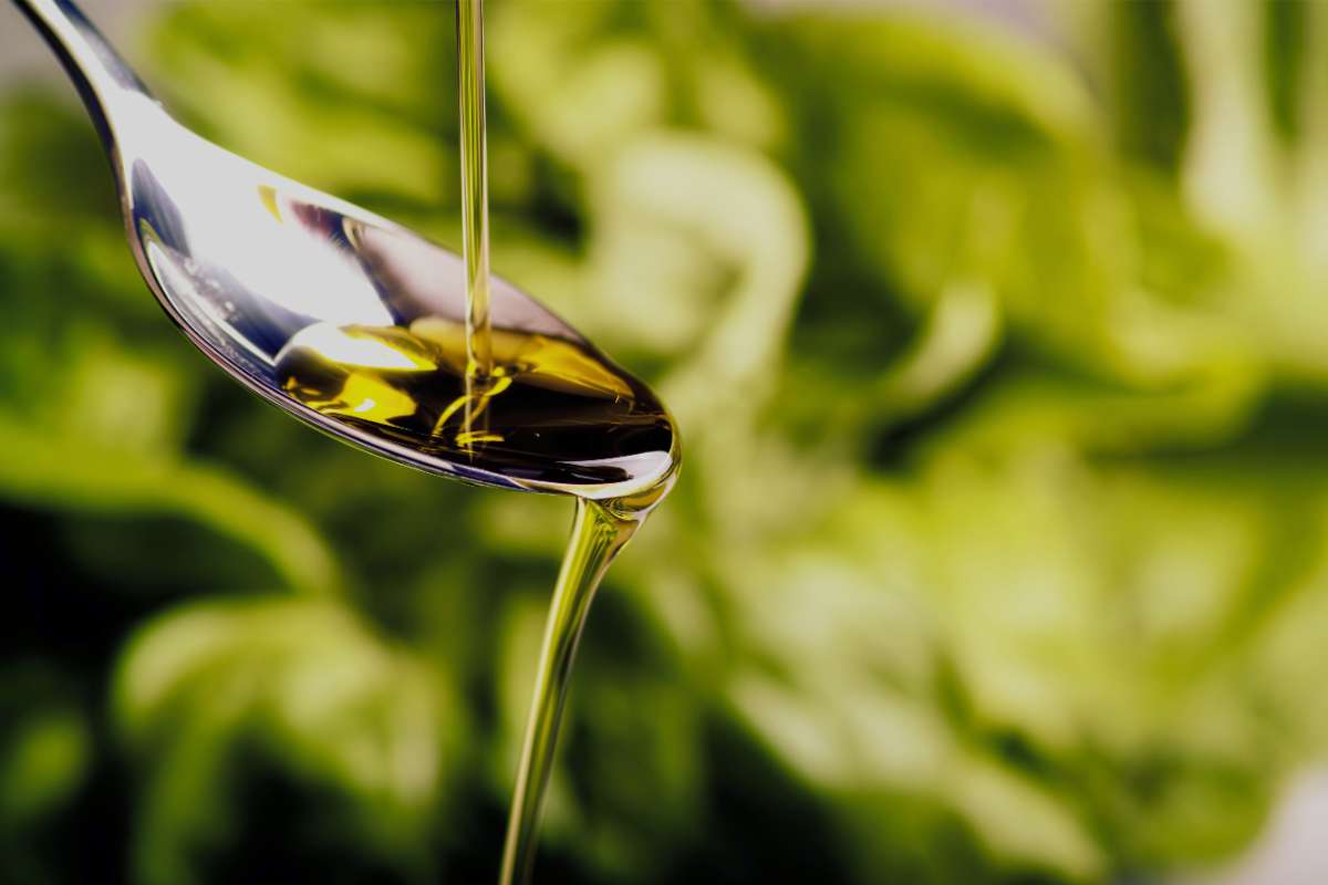 Olio extravergine, in questo discount lo svendono a pochi euro