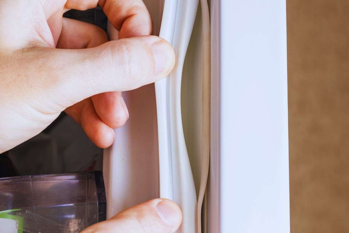 guarnizioni del frigo e pulizia