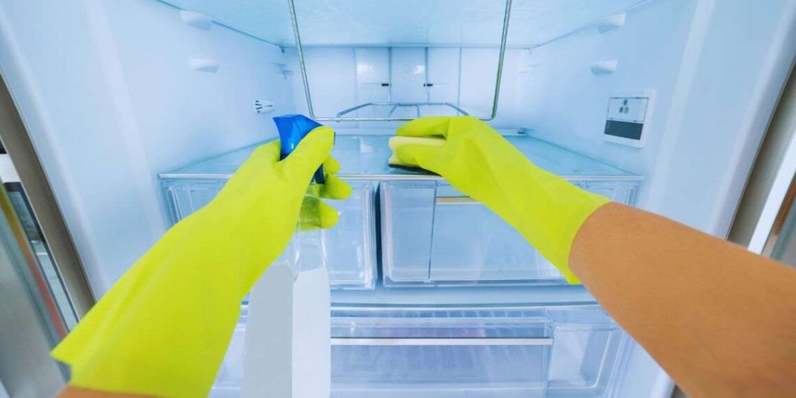 pulizia ottimale del frigo