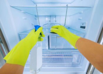 pulizia ottimale del frigo