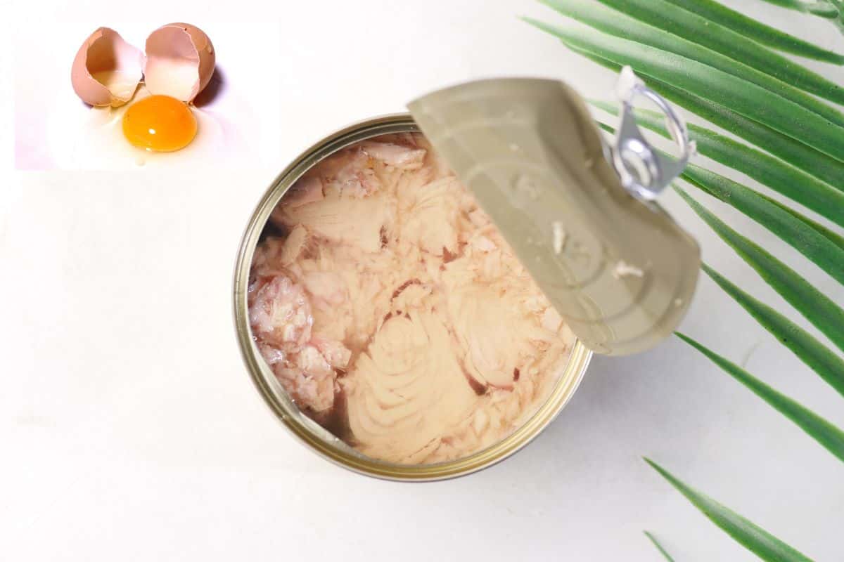 ricetta veloce scatoletta di tonno e uovo