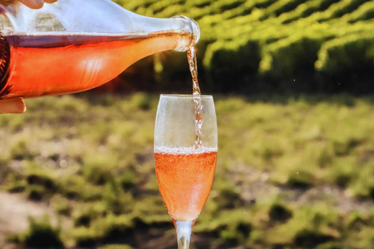 vino rosato: come si produce