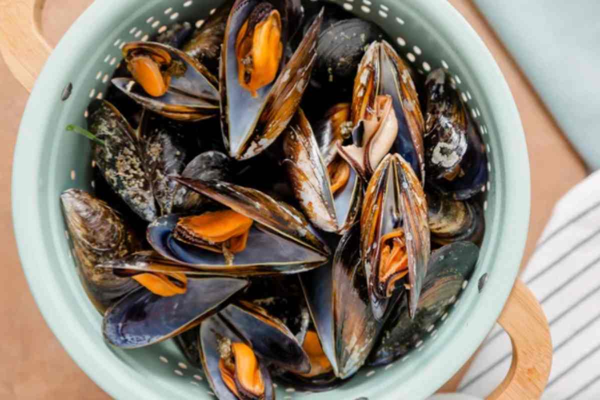 Cozze
