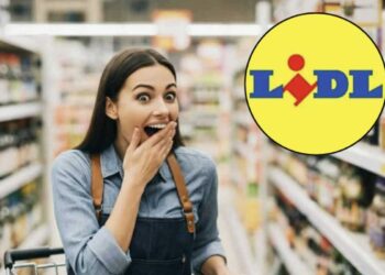 Tra le proposte più interessanti del momento spicca l’offerta di Lidl, la celebre catena europea di supermercati tedesca,