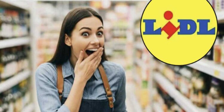 Tra le proposte più interessanti del momento spicca l’offerta di Lidl, la celebre catena europea di supermercati tedesca,