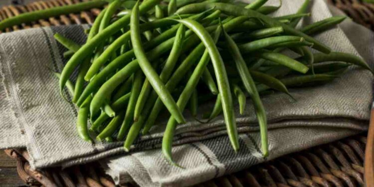 Fagiolini