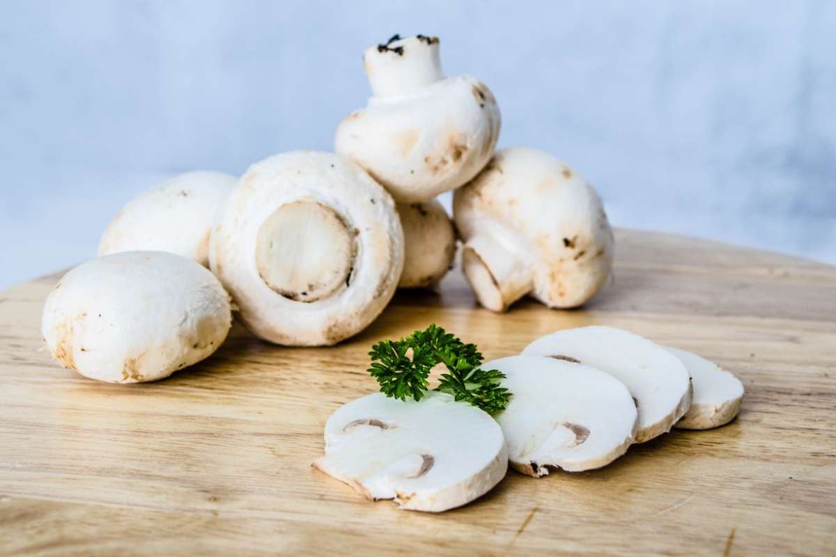 Funghi porcini