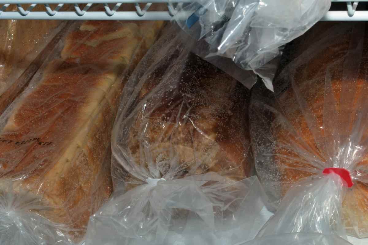 Pane