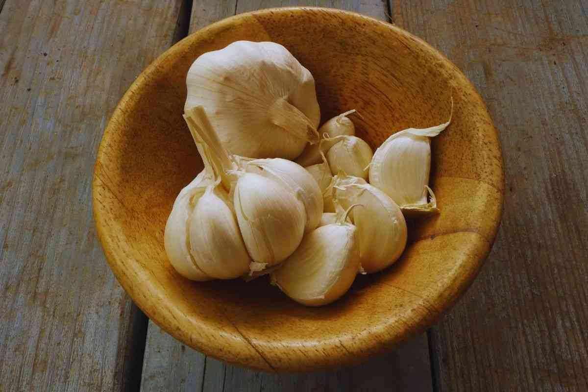 il modo di cucinare l'aglio