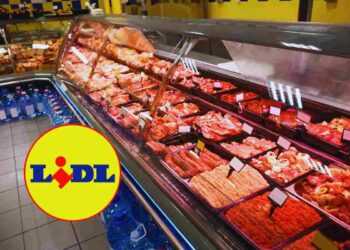 la carne di lidl