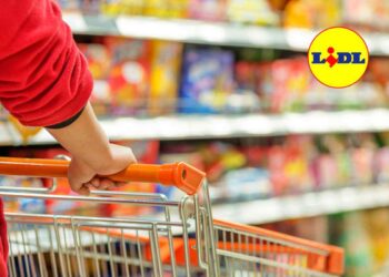 LIDL, a 2,99 euro l’oggetto che sta facendo impazzire tutti