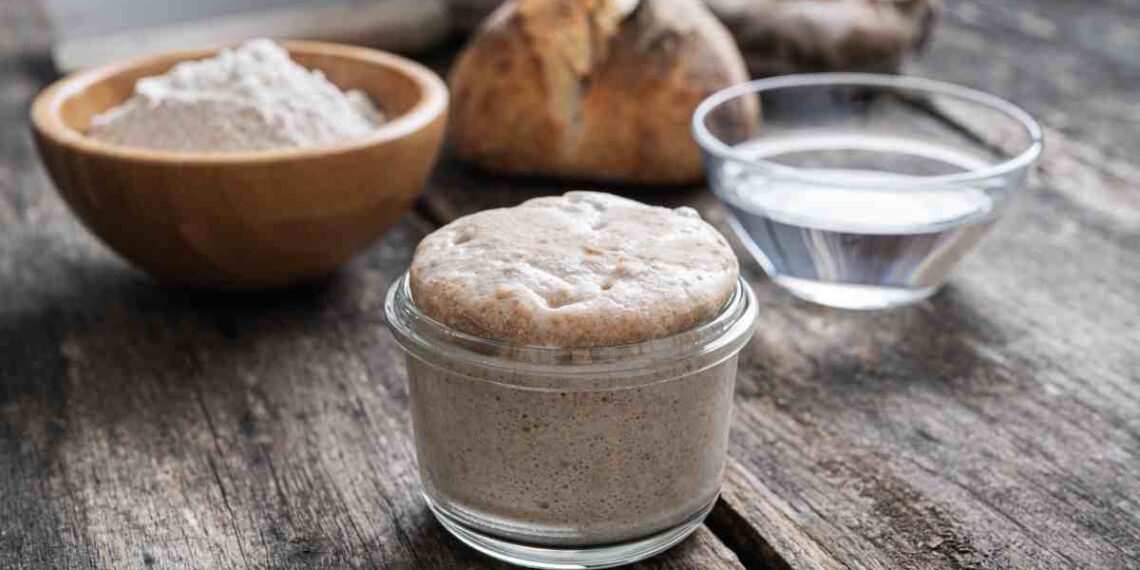 lievito madre come si fa