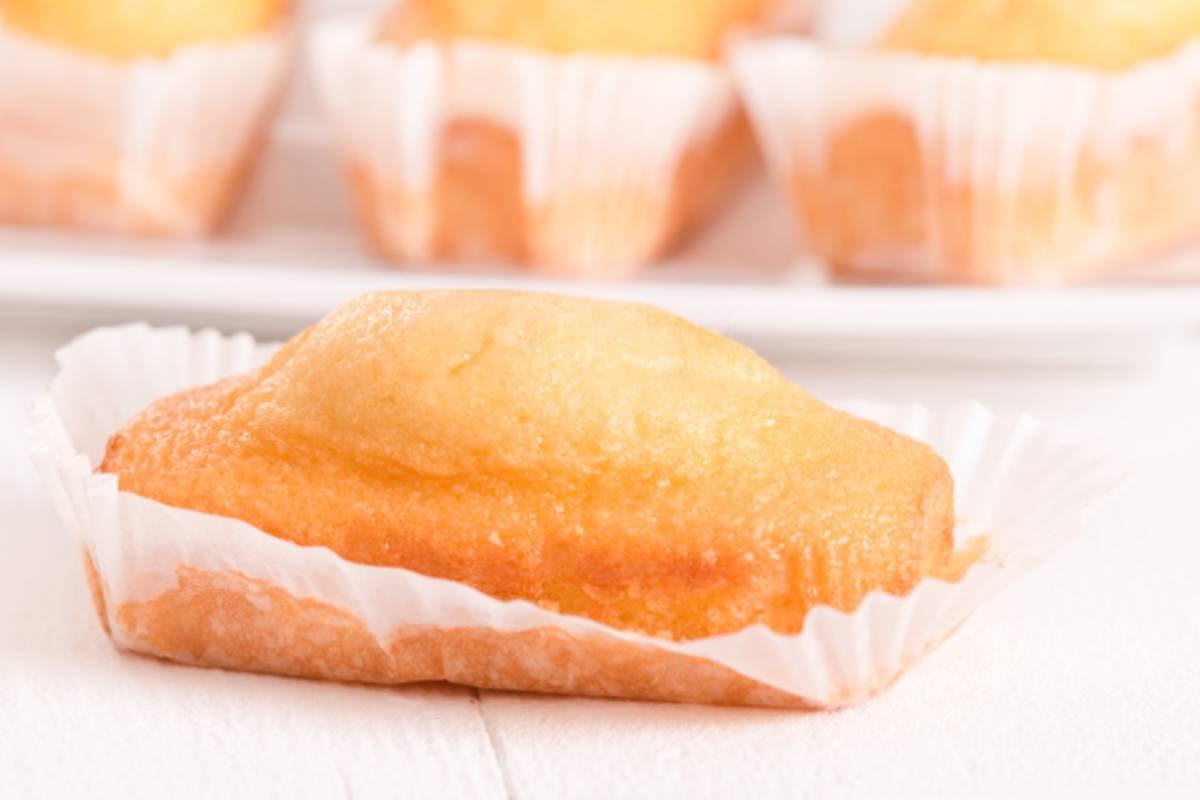 merendina 