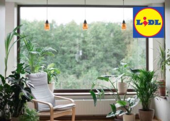 L'orto dei sogni, offerte Lidl da non perdere