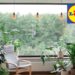 L'orto dei sogni, offerte Lidl da non perdere