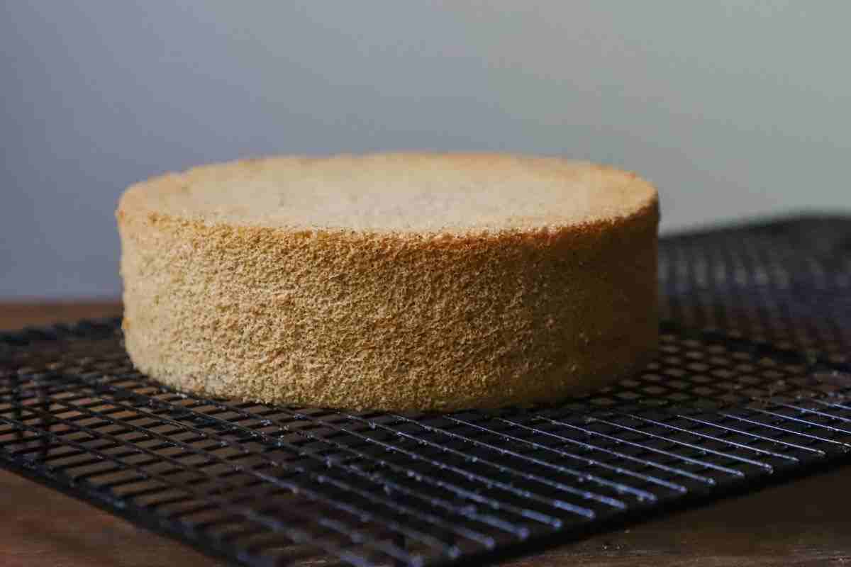 pan di spagna: ricetta, ingredienti, preparazione
