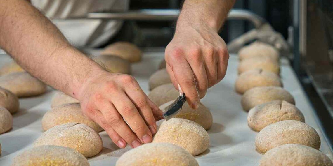 panini fatti in casa: ricetta, ingredienti, preparazione