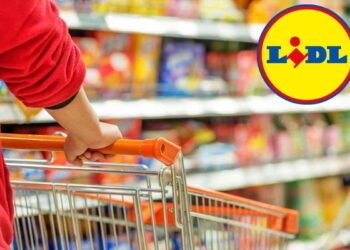 Lidl, meglio non comprare mai questi prodotti, anche se sono convenienti