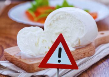 richiamo di mozzarella