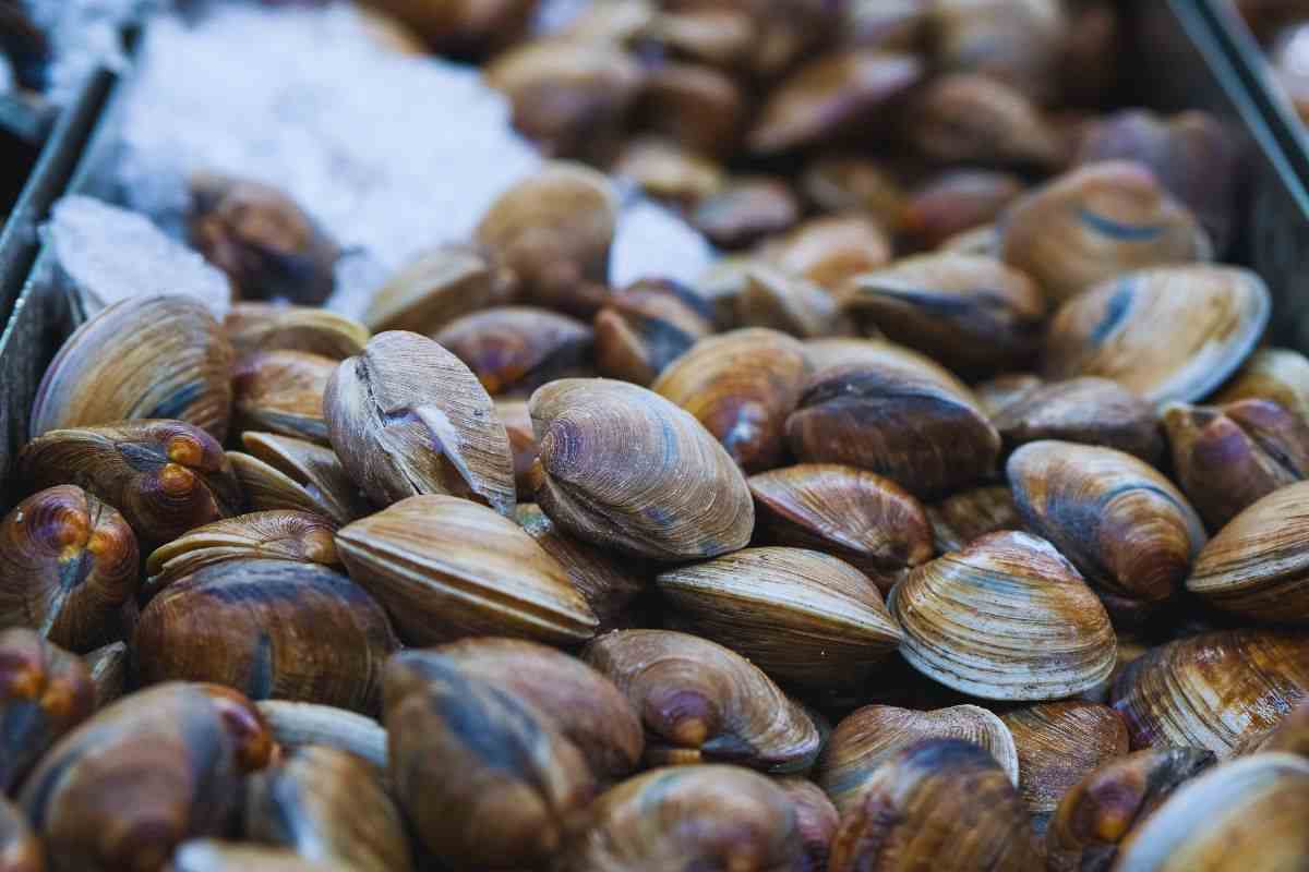 vongole ritirate dal supermercato