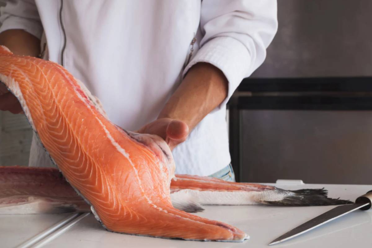salmone