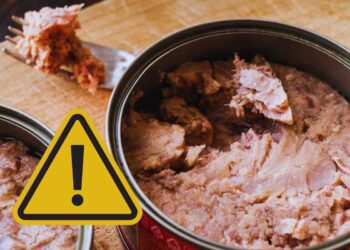 tonno in scatola scaduto