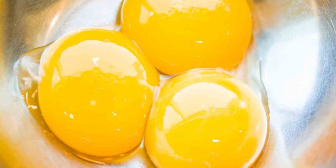 macchie nei tuorli che cosa significano