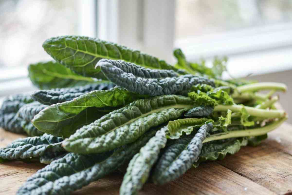 Cavolo nero