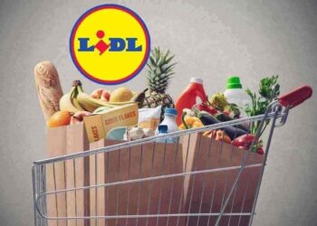 Lidl mette l'orto nel carrello