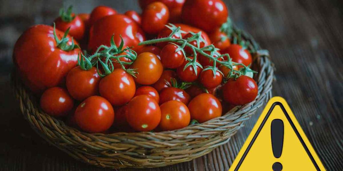 Pomodori