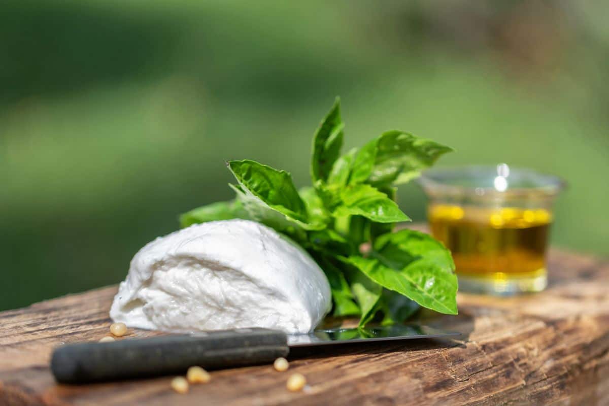 trucco per avere il basilico sempre fresco