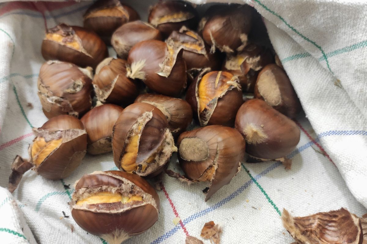 3 segreti per cuocere in modo perfetto le castagne