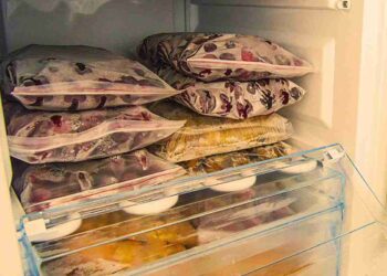 congelamento degli alimenti: le regole