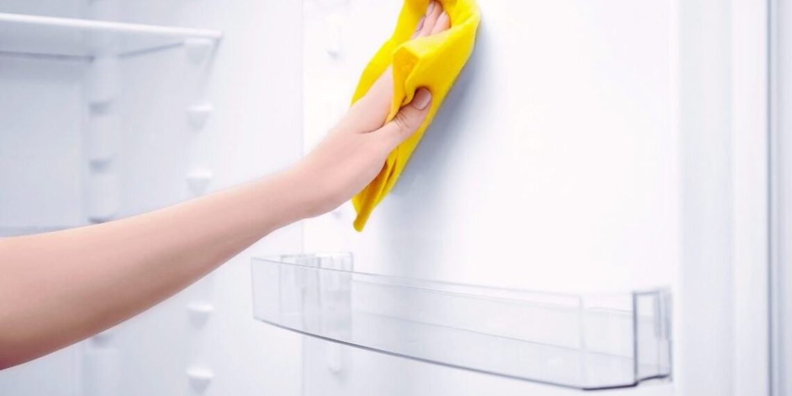 Questi angoli del frigo vengono dimenticati ma sono i più sporchi