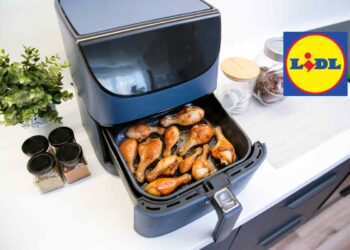 con la friggitrice ad aria Lidl prepari piatti da chef e risparmi