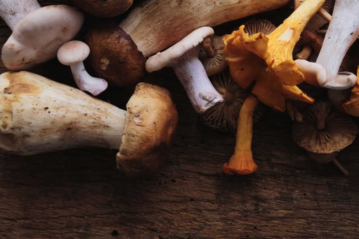 ricetta cesti di patate e funghi