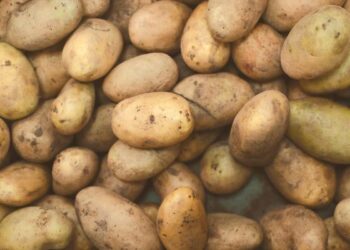 come conservare le patate