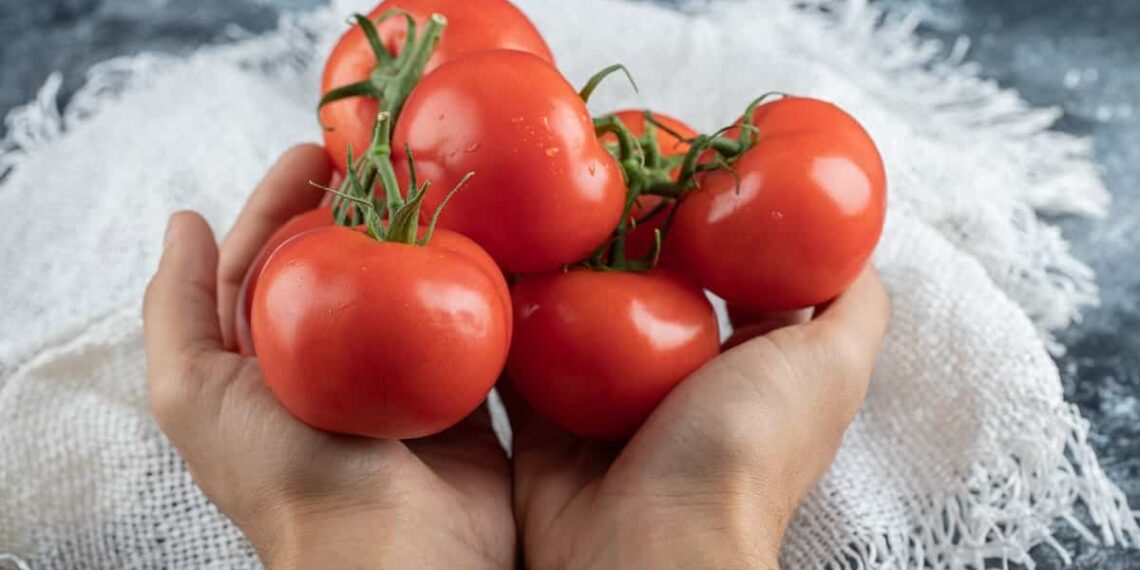 come congelare i pomodori
