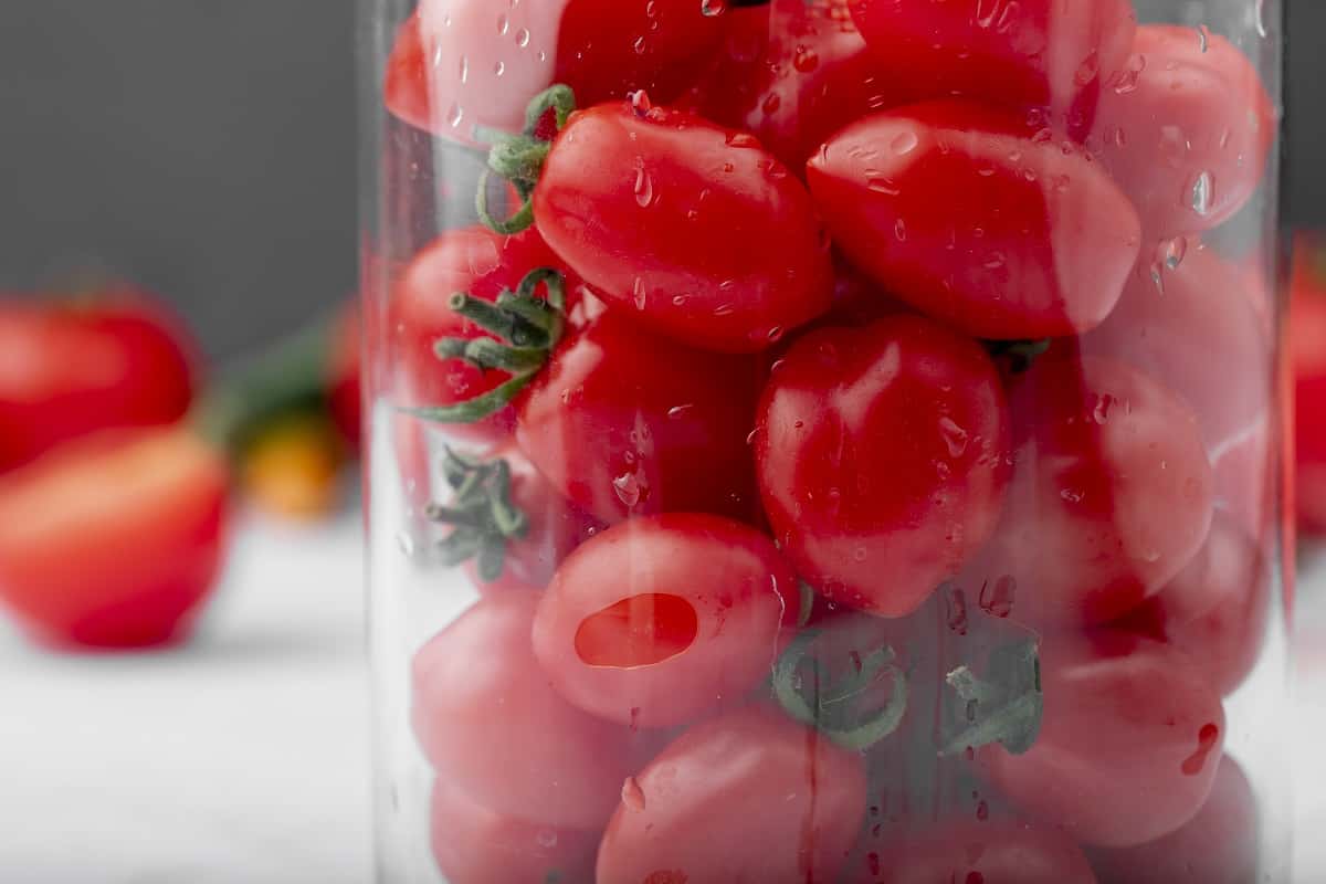 come congelare i pomodori